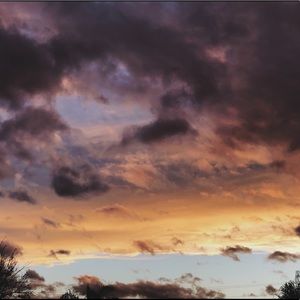 Meet your Posher, Yoana